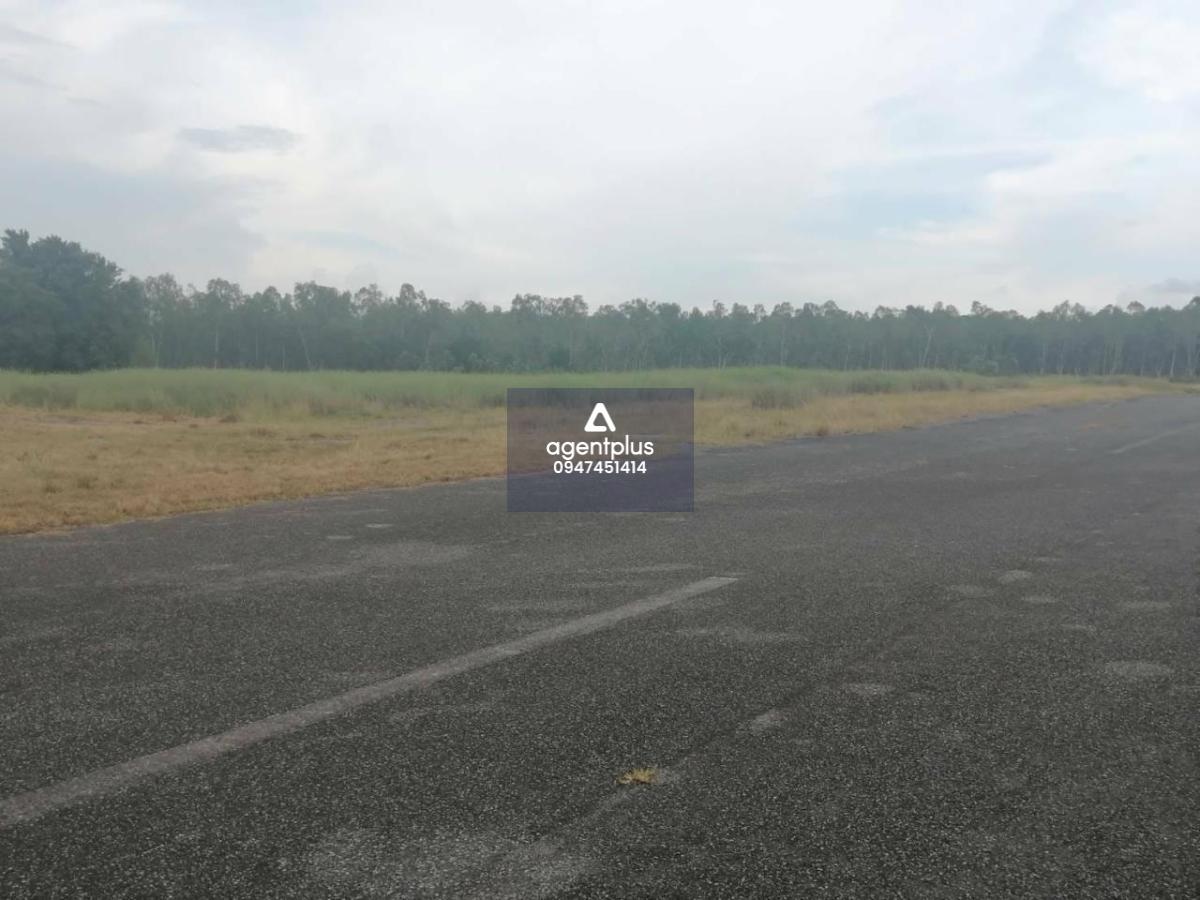 ขายที่ดิน ใกล้สนามกอฟล์ฟีนิกซ์ นาจอมเทียน ชลบุรีราคาพิเศษ
