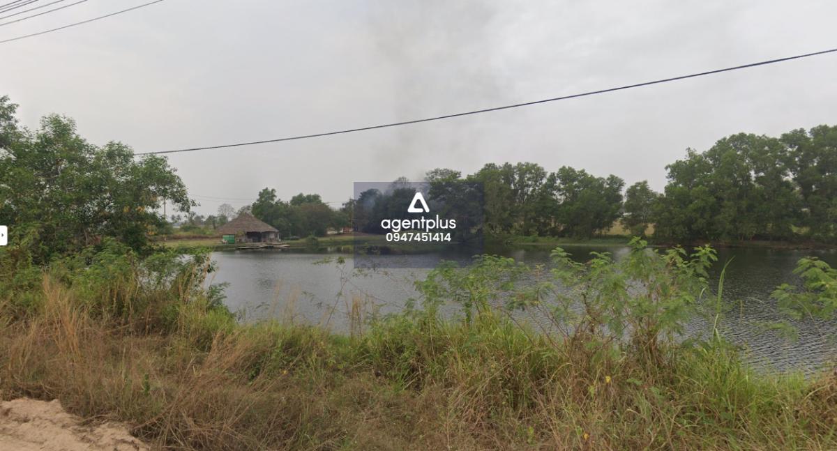 ให้เช่า ที่ดินแปลงใหญ่ 34-0-40 ไร่ ใจกลางหนองปรือ – บางละมุง, ชลบุรี