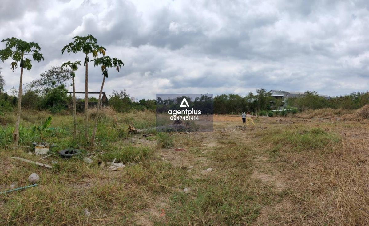 ขายที่ดิน ทำเลทอง ใกล้ทะเล ใกล้ถนนสุขุมวิท นาจอมเทียน พัทยา