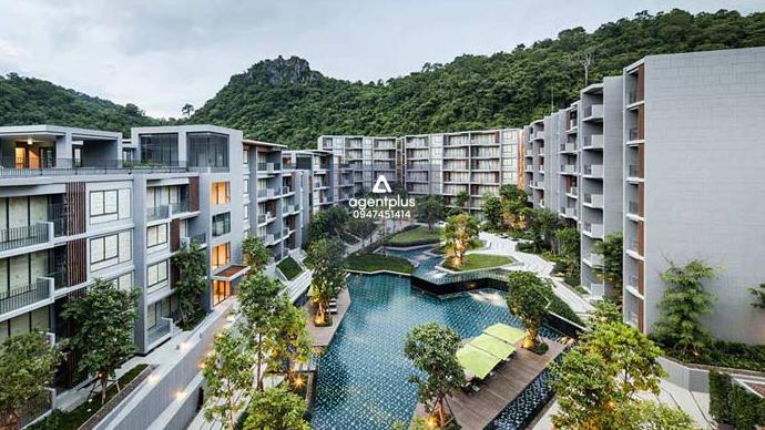 คอนโดพร้อมอยู่ เดอะ วัลลีย์ เขาใหญ่ ใกล้ธรรมชาติ วิวภูเขา