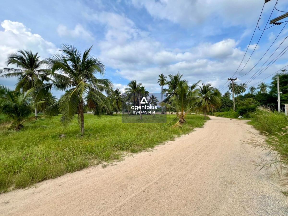 ขายที่ดินแปลงสวย ทำเลดี พิกัด ห้วยใหญ่ พัทยา