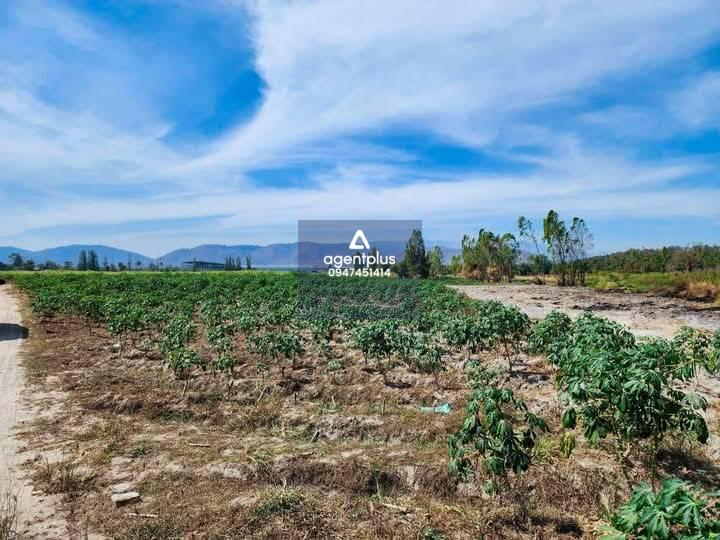 * ขายดินสำหรับทำโรงงานนิคมอุตสาหกรรม ที่ดินสีม่วง  พื้นที่ EEC คลองกิ่ว บ้านบึง ชลบุรี