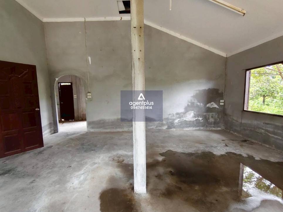 บ้านเดี่ยวชั้นเดียว ใกล้ซอยวังปลา 2 สภาพโดยรอบเป็นสวนยาง ห่างจากถนนสุขุมวิทประมาณ 1.3 กิโลเมตร สาธารณูปโภคครบครัน