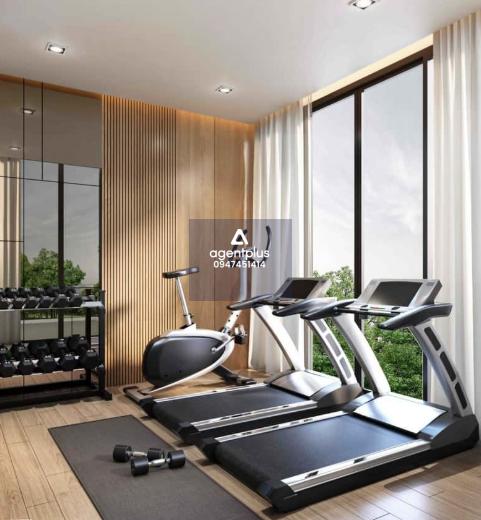 The Scholar Don Mueang