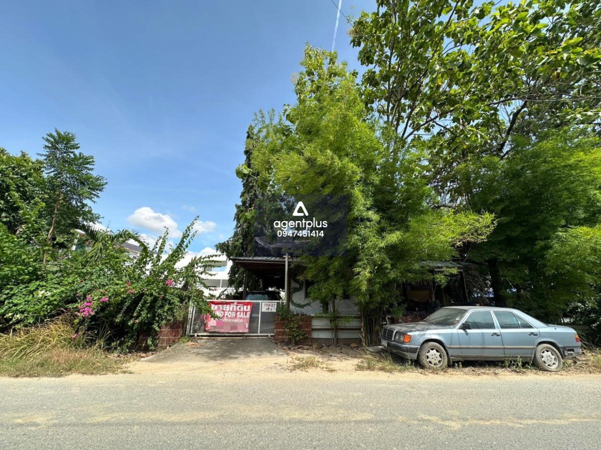 ขายที่ดินติดถนน ทำเลศักยภาพ