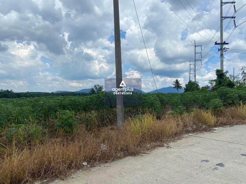 ขายที่ดิน 42ไร่  พื้นที่สีม่วง ,ศรีราชา ,ชลบุรี