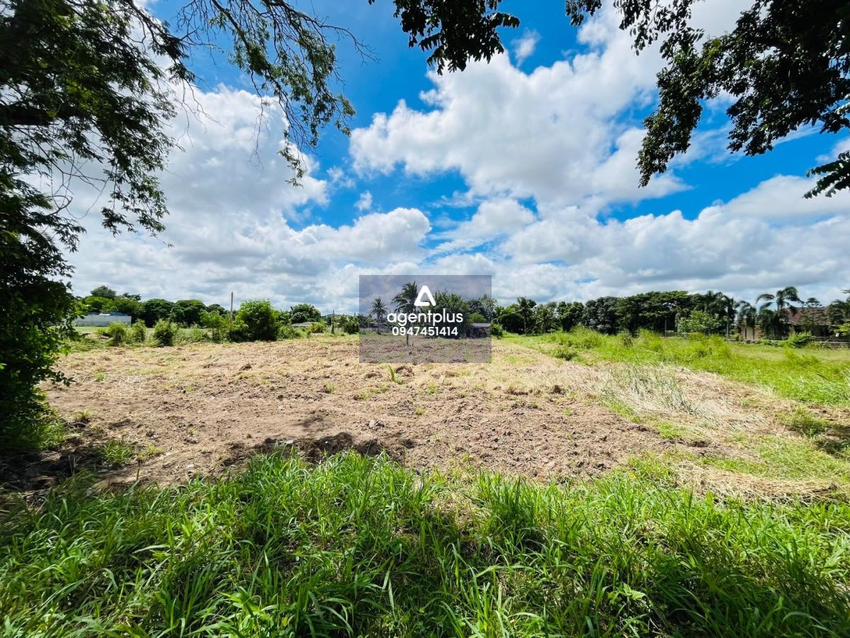 ขายที่ดินเปล่า แปลงสวย ติดโครงการหมู่บ้านขึ้นใหม่_พัทยา ใกล้อ่างเก็บน้ำมาบประชัน