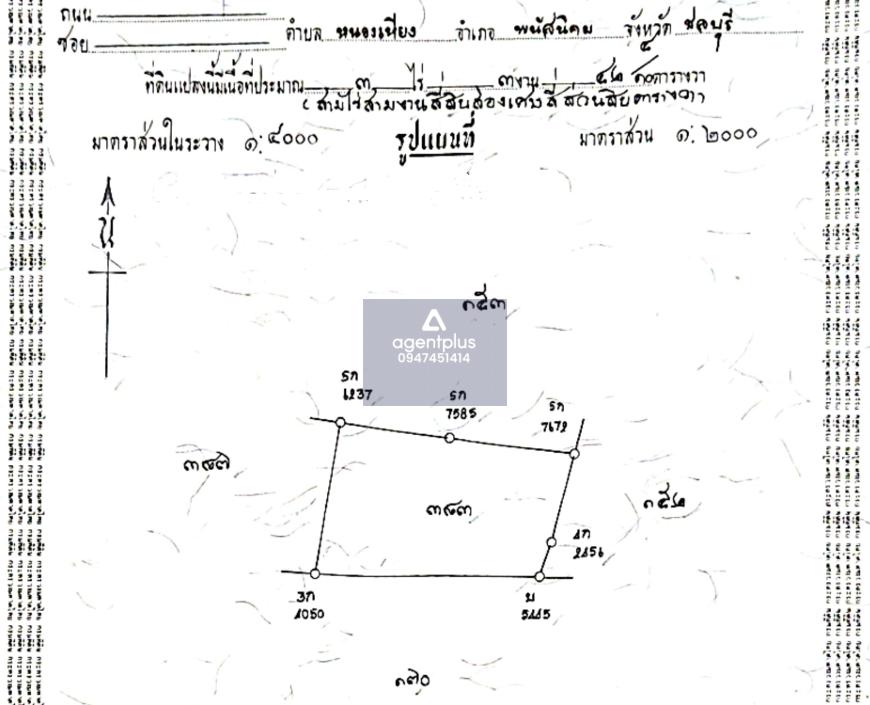 ที่ดินเปล่า ทำเลสวย 3 ไร่ 3 งาน 42 ตารางวา ติดถนนพนัส-หัวถนน ต.หนองเหียง อ.พนัสนิคม จ.ชลบุรี