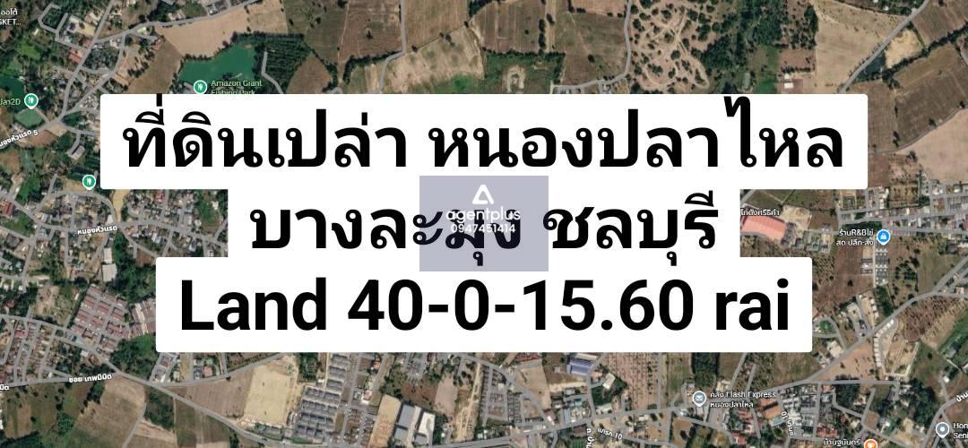 ขายที่ดินเปล่า ผังสีเหลือง แปลงใหญ่ หนองปลาไหล บางละมุง ชลบุรี ทำเลศักยภาพสูง