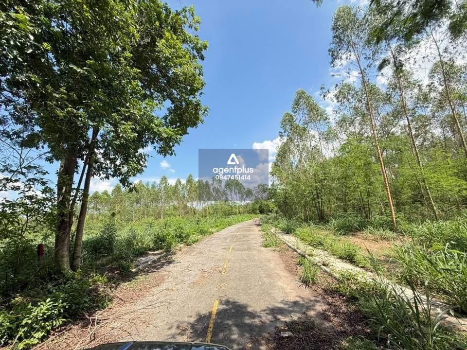 ขายที่ดินใน สนามกอล์ฟ กรีนวูด