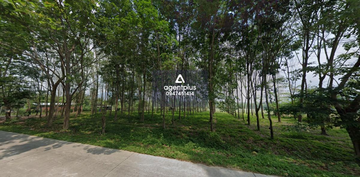 *ขายที่ดินติดถนนสาย 5059 เขตนิคมอุตสาหกรรม อ.หนองไร่ ต.ปลวกแดง จ.ระยอง