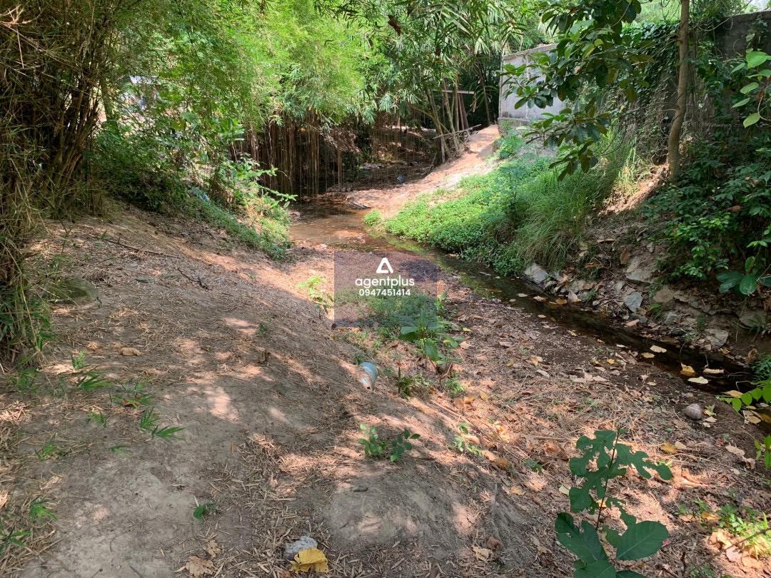 ขายที่ดิน ห้วยยายจีน  ห้วยใหญ่