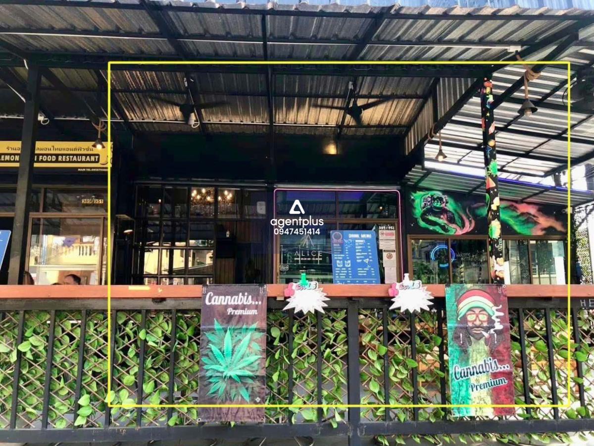 * ให้เช่าบาร์ มีครัว และร้านกัญชา 