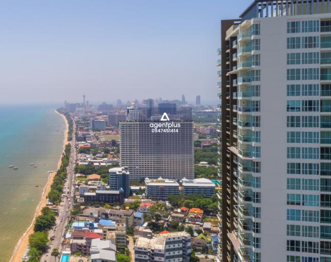 ให้เช่า  ซีตัส บีชฟร้อนท์ คอนโดมิเนียม พัทยา วิวหาดจอมเทียนโดยตรง