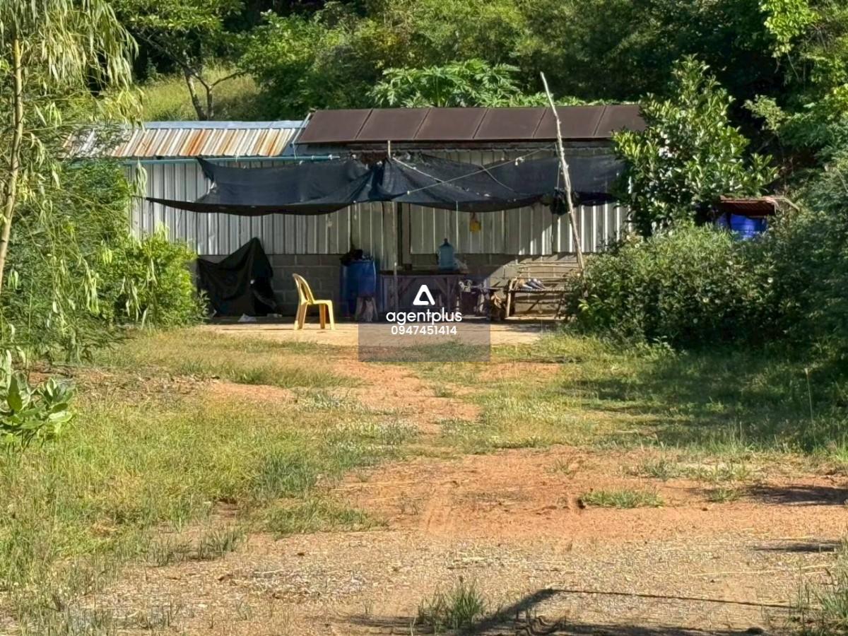 ที่ดิน 66ไร่ติดเขา อ.ห้วยกระเจา พร้อมแปลงไผ่ สระเก็บน้ำและบ้านพักคนงาน