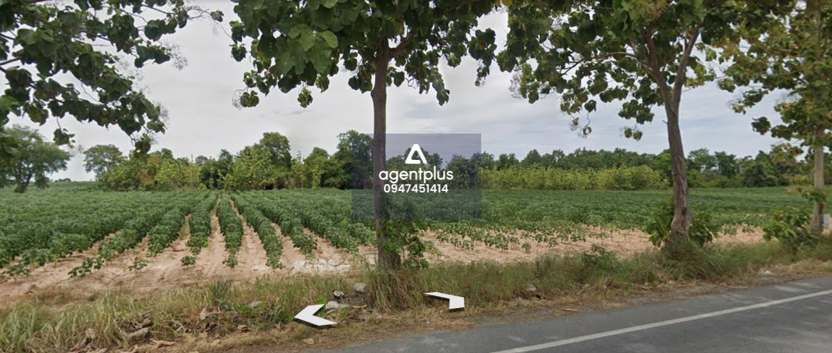 ให้เช่า ที่ดินแปลงใหญ่ 45-0-57 ไร่ ใจกลางหนองปรือ – บางละมุง, ชลบุรี 