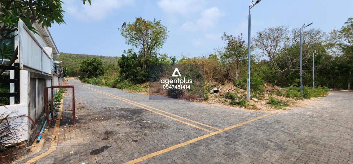 ขายที่ดินติดทะเลบนเกาะล้าน พัทยา ที่ดินทำเลทอง