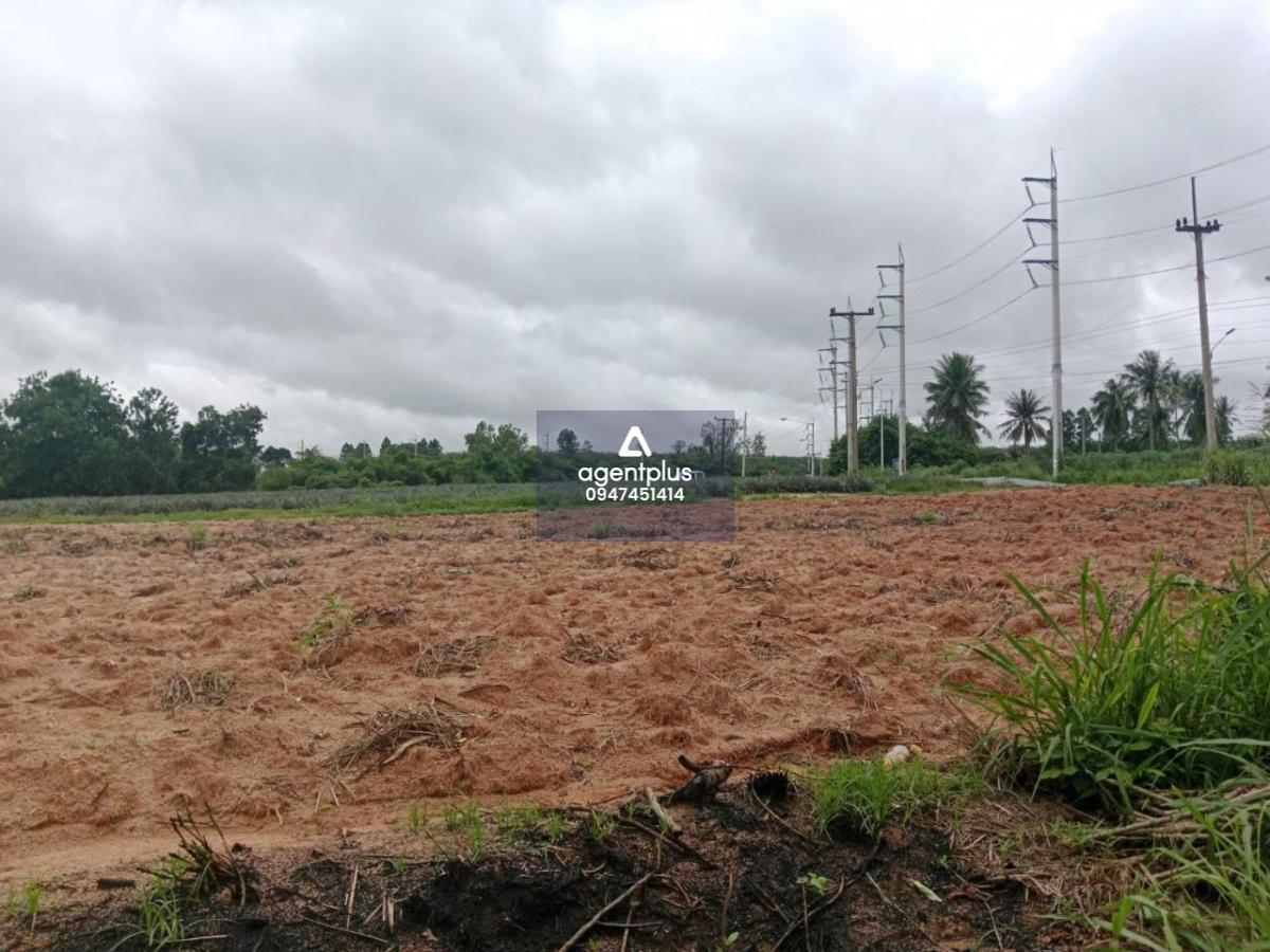 * ขายที่ดินติดถนนเขาไม้แก้ว บางละมุง ชลบุรี