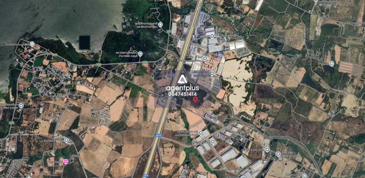 ดินในทำเลทอง ผังสีเหลืองอ่อน ศรีราชา ชลบุรี