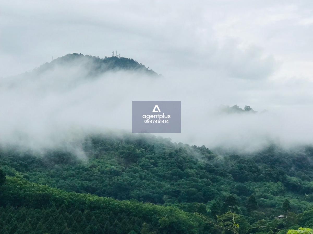 ขายบ้าน - บ้านบรรยากาศภูเขาระยอง หนึ่งเดียวในระยอง ใกล้พัทยา ทำธุรกิจรายวันได้