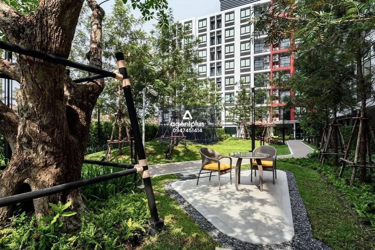 ดีคอนโด ไฮป์ รังสิต ตอบโจทย์ไลฟ์สไตล์คนรุ่นใหม่ที่ต้องการใช้ชีวิตในทำเลที่สะดวก