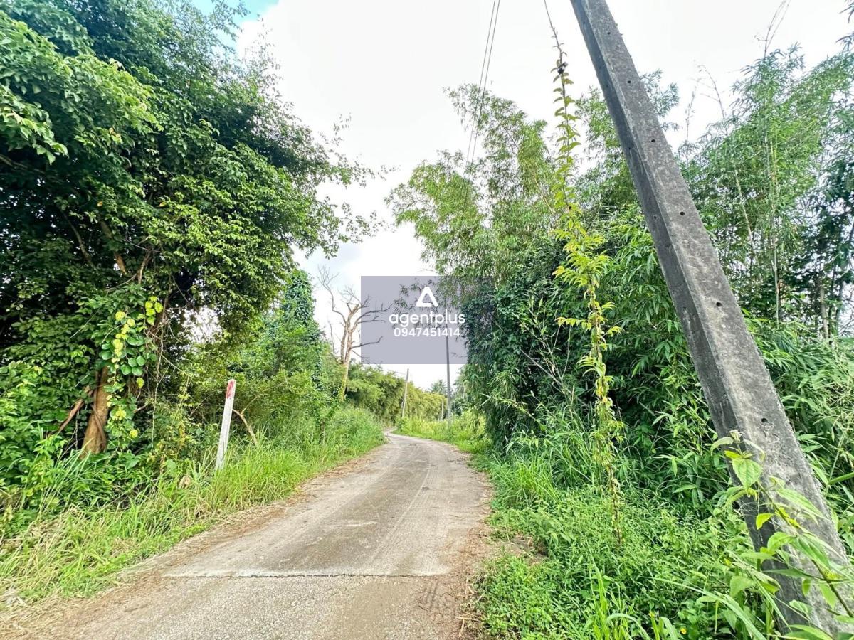 #*ขายที่ดินน้ำ-ไฟพร้อม นิคมพัฒนา ซอย 9 – สาย 15 ใกล้ WHA36 ระยอง