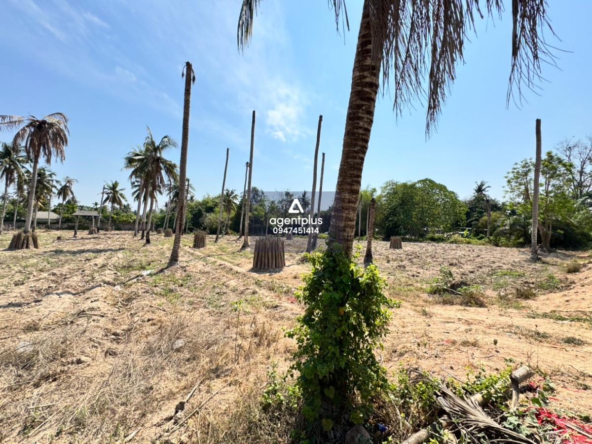 ขายที่ดินแปลงสวย ด้านหน้าติดถนน ห้วยใหญ่ บางละมุง ชลบุรี พัทยา