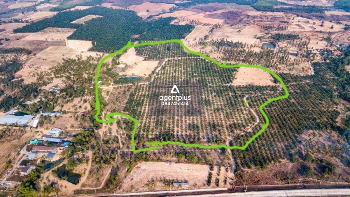 ขายที่ดิน มาบตาพุด ผังสีเหลือง ใกล้ถนนสาย 7 พัทยา