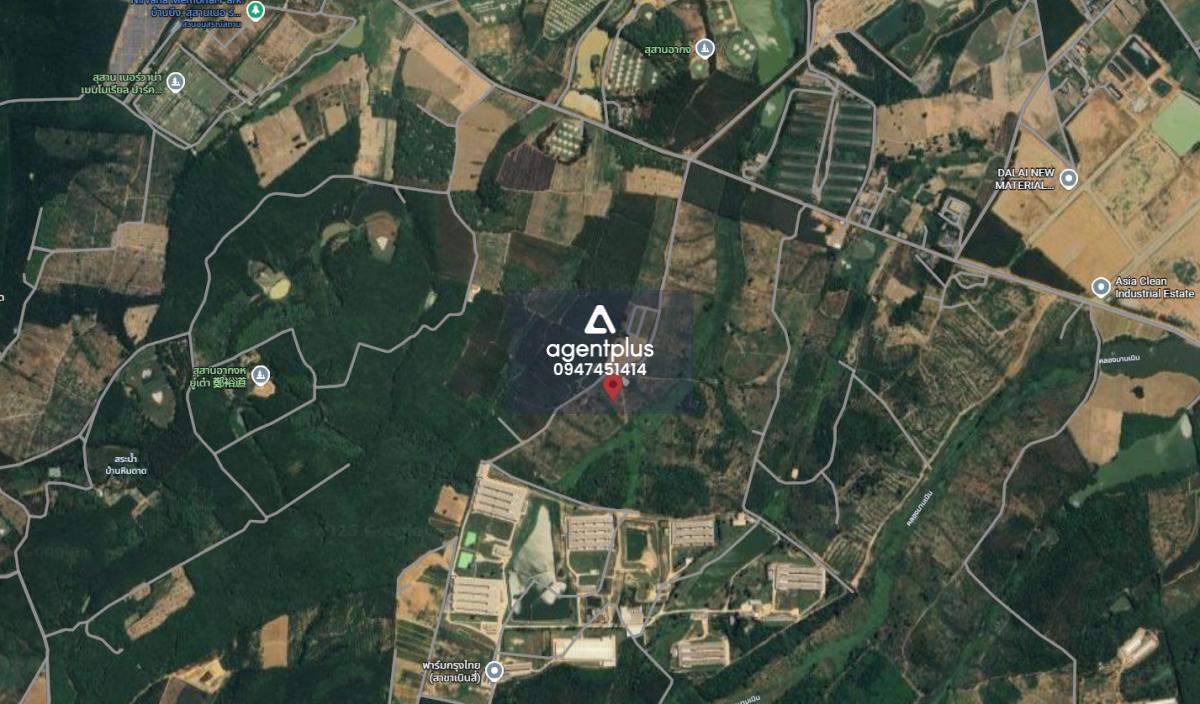 ขายที่ดินยกแปลงใหญ่ ผังสีม่วงลาย บ้านบึง ชลบุรี