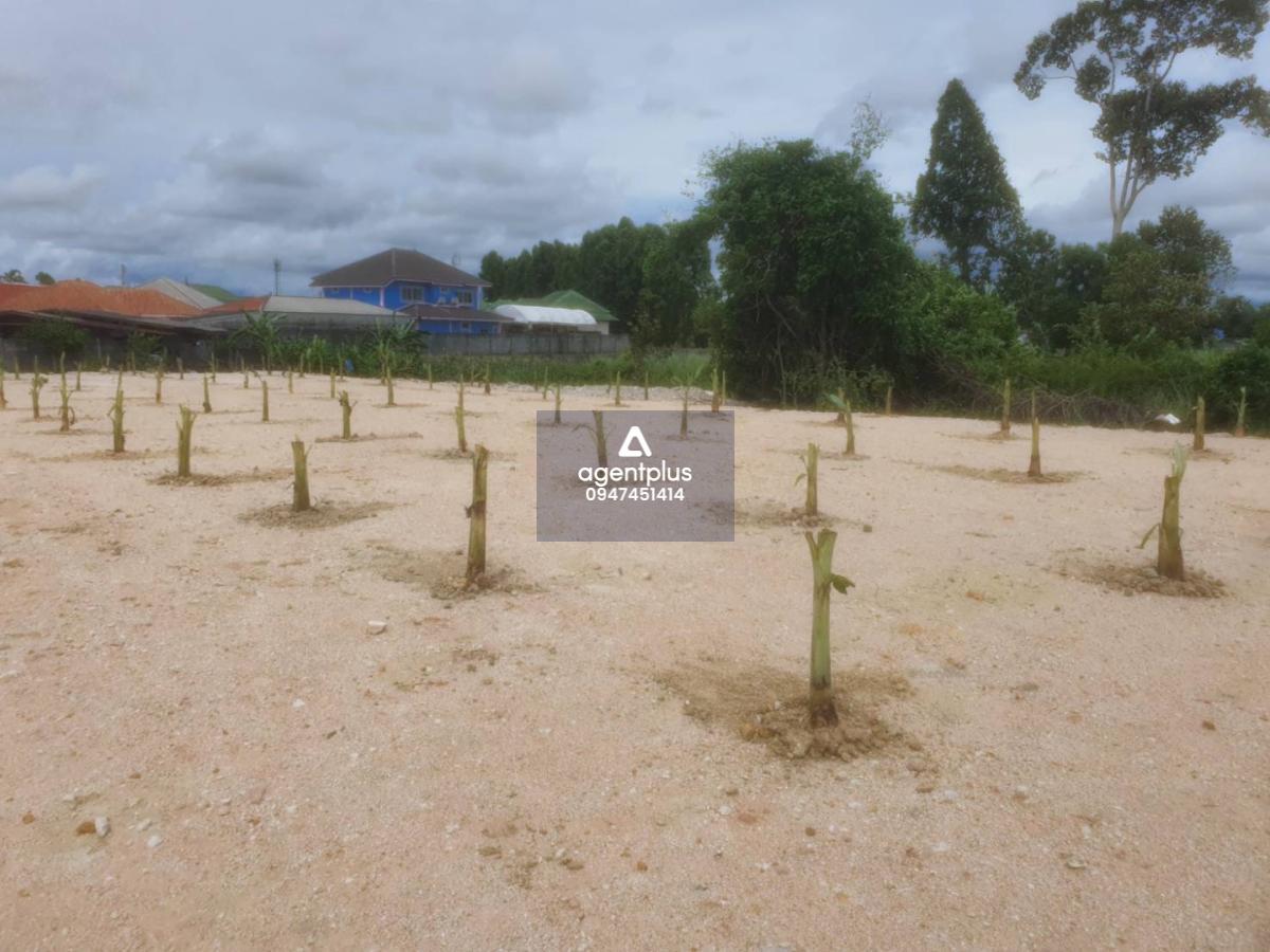 ขายที่ดินเปล่า 2 งาน ยกแปลง ‼️พัทยา