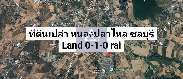 ขายที่ดินเปล่าด่วนในโซนชุมชน หนองปลาไหล ชลบุรี