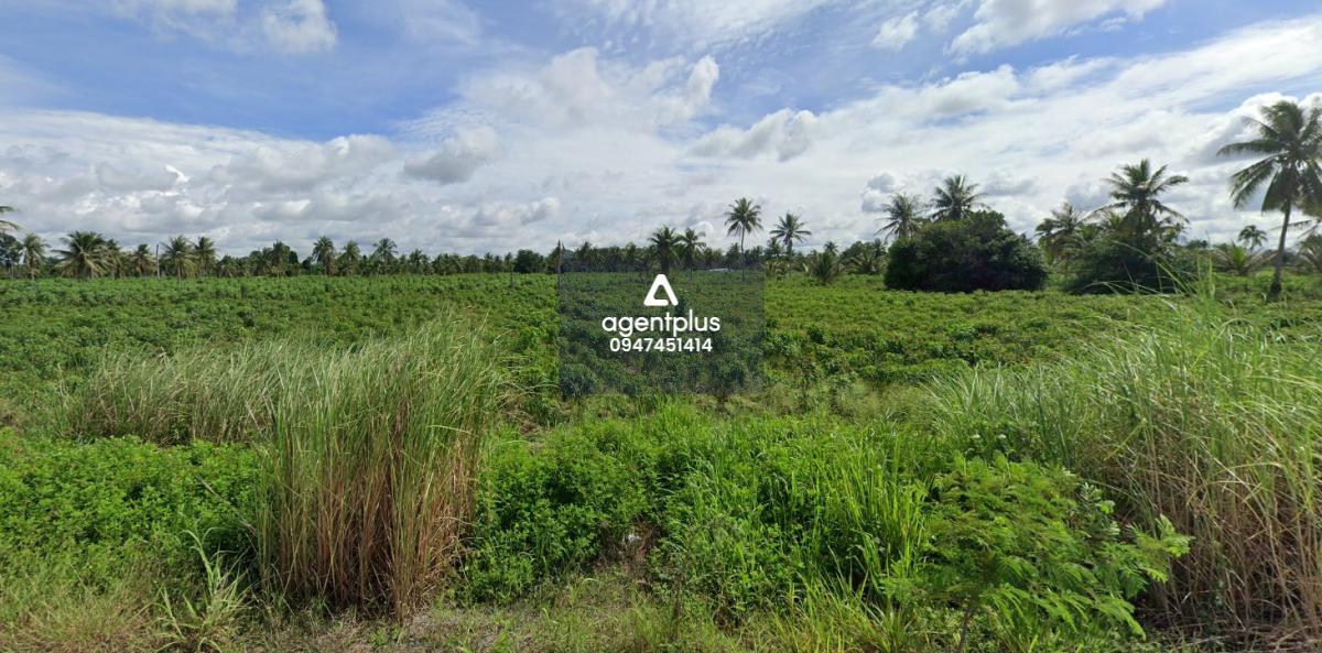 ขายที่ดินสวย ห้วยใหญ่ พัทยา ติดทางด่วน กรุงเทพ-ระยอง