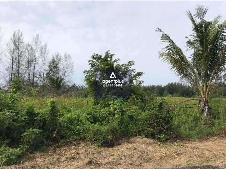 ขายที่ดินว่างเปล่า (เกาะคอเขา) อ.ตะกั่วป่า จ.พังงา