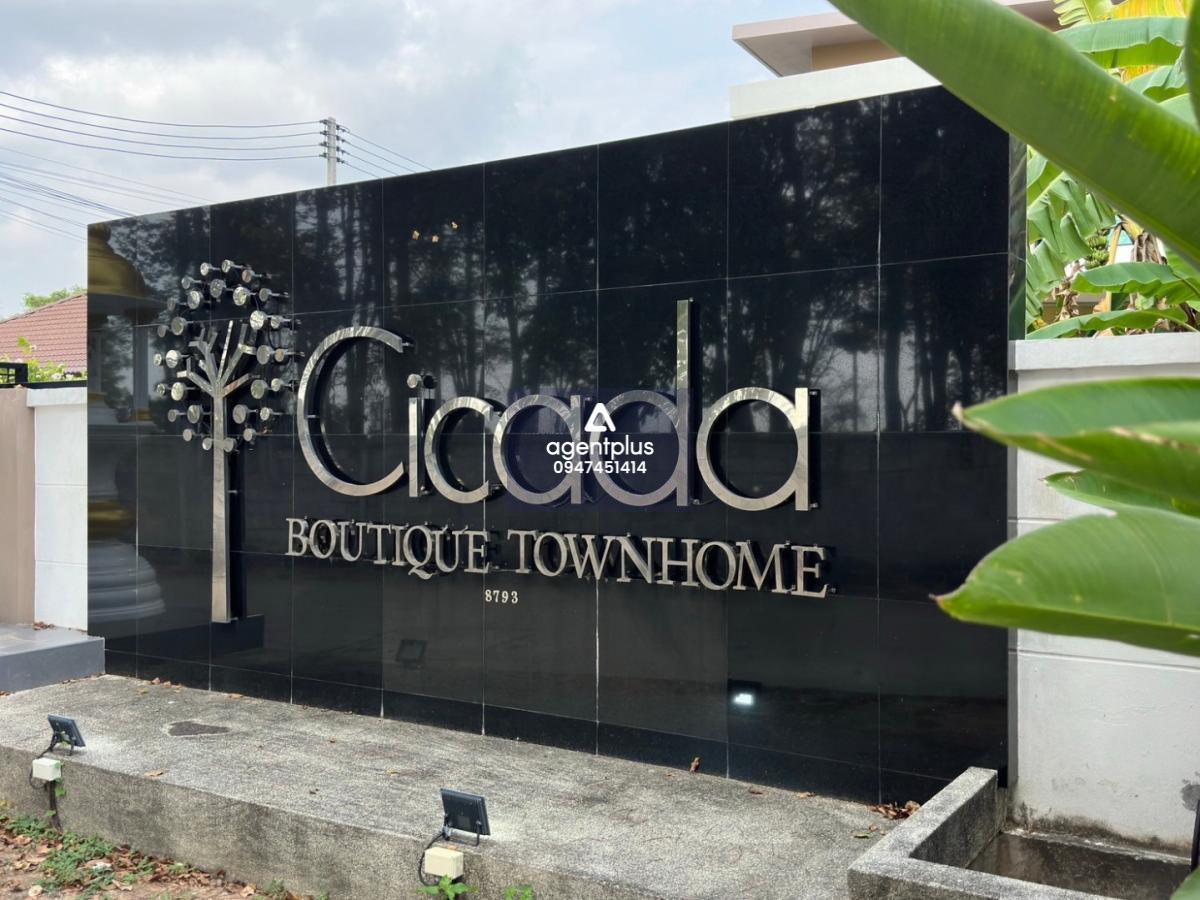 Cicada-Bouttque