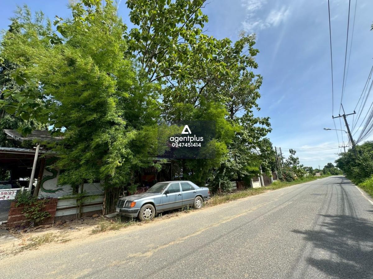 ขายที่ดินติดถนน ทำเลศักยภาพ