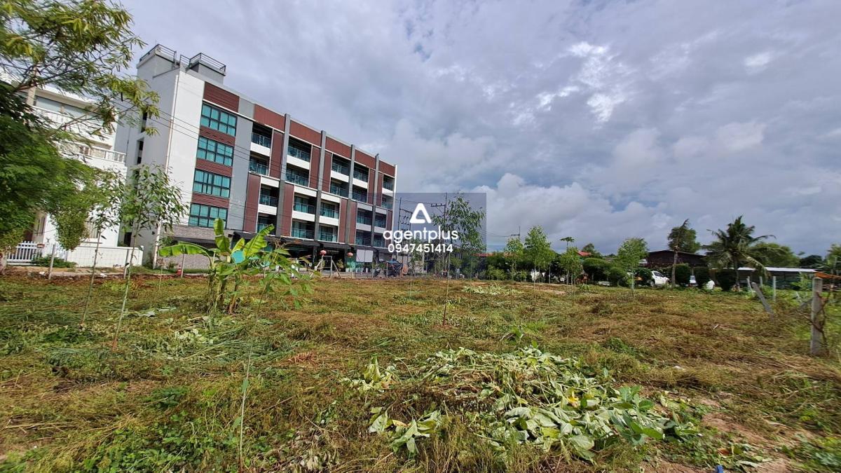 ขายที่ดินใกล้ทะเล เดินไปทะเลเพียง 200 เมตร บางละมุง 12 พัทยา