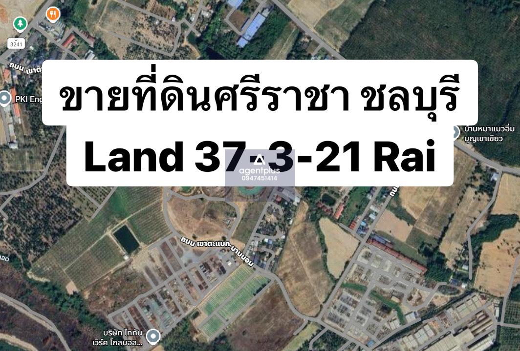 *ขายที่ดินผังเมืองสีเหลืองอ่อน | หนองขาม ศรีราชา ชลบุรี ทำเลดี