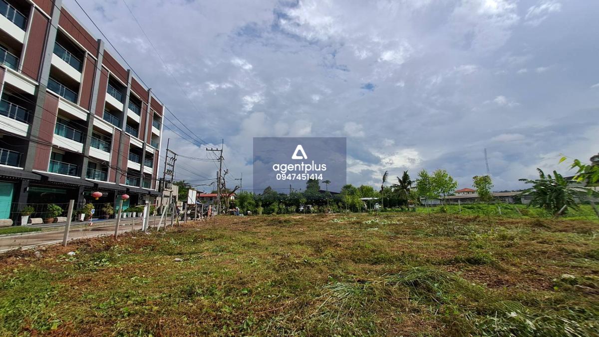 ขายที่ดินใกล้ทะเล เดินไปทะเลเพียง 200 เมตร บางละมุง 12 พัทยา