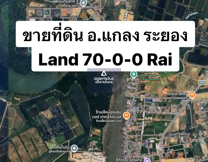 ขายที่ดินริมแม่น้ำประแสร์ แปลงใหญ่ เหมาะสำหรับผู้ที่มองหาที่ดินแปลงใหญ่ติดริมน้ำ