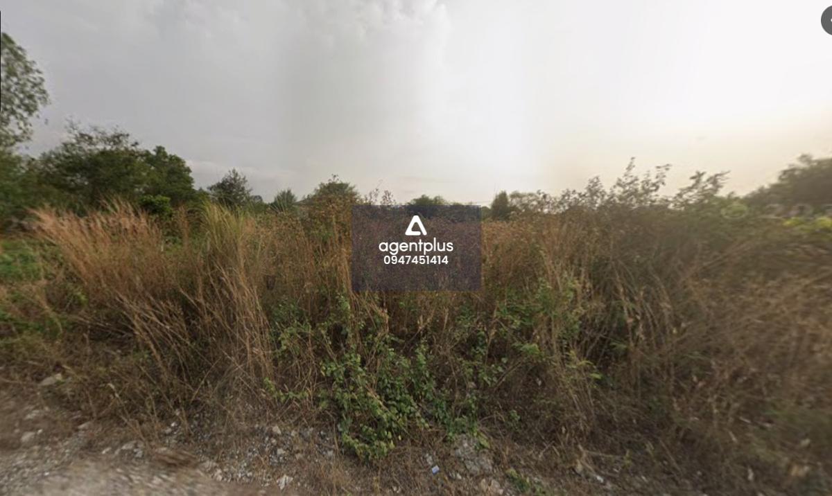 ขายที่ดินทำเลดี ซอยพรประภานิมิตร34 พัทยา 