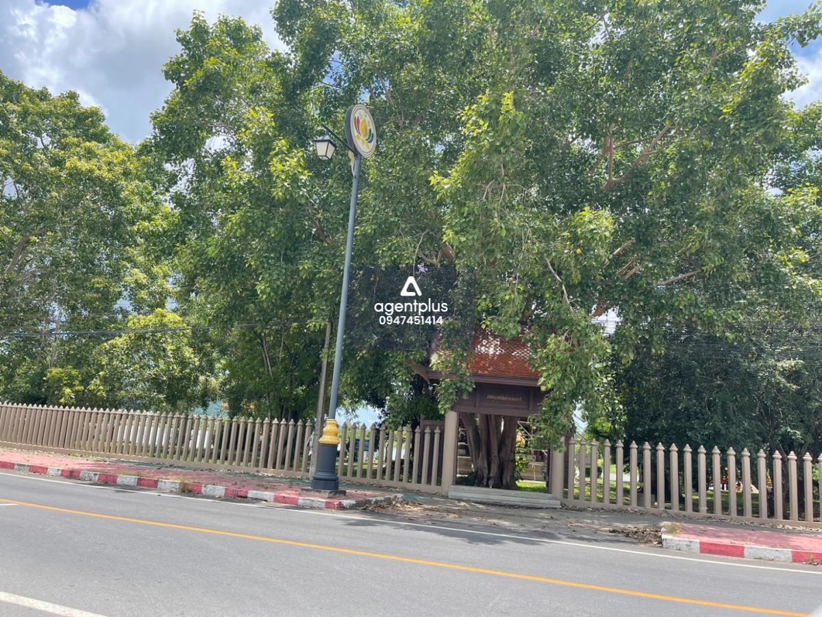 #ขายที่ดินติดถนน โซนเขาชีจรรย์ ห้วยใหญ่ เมืองพัทยา