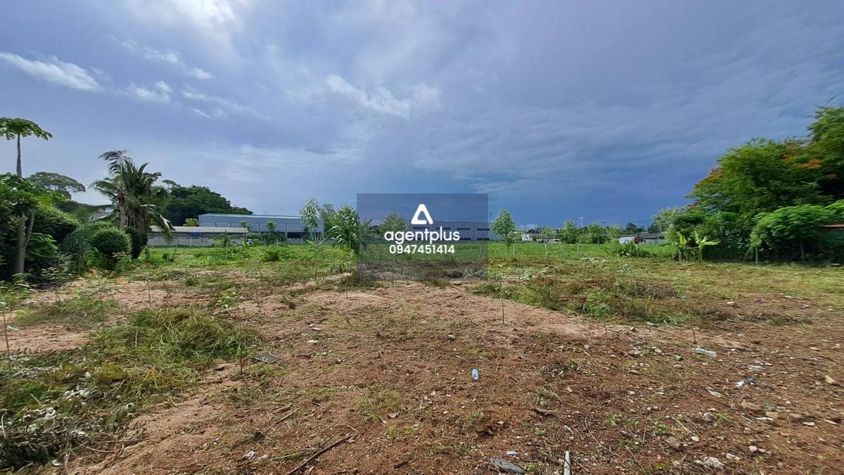 ขายที่ดินใกล้ทะเล เดินไปทะเลเพียง 200 เมตร บางละมุง 12 พัทยา