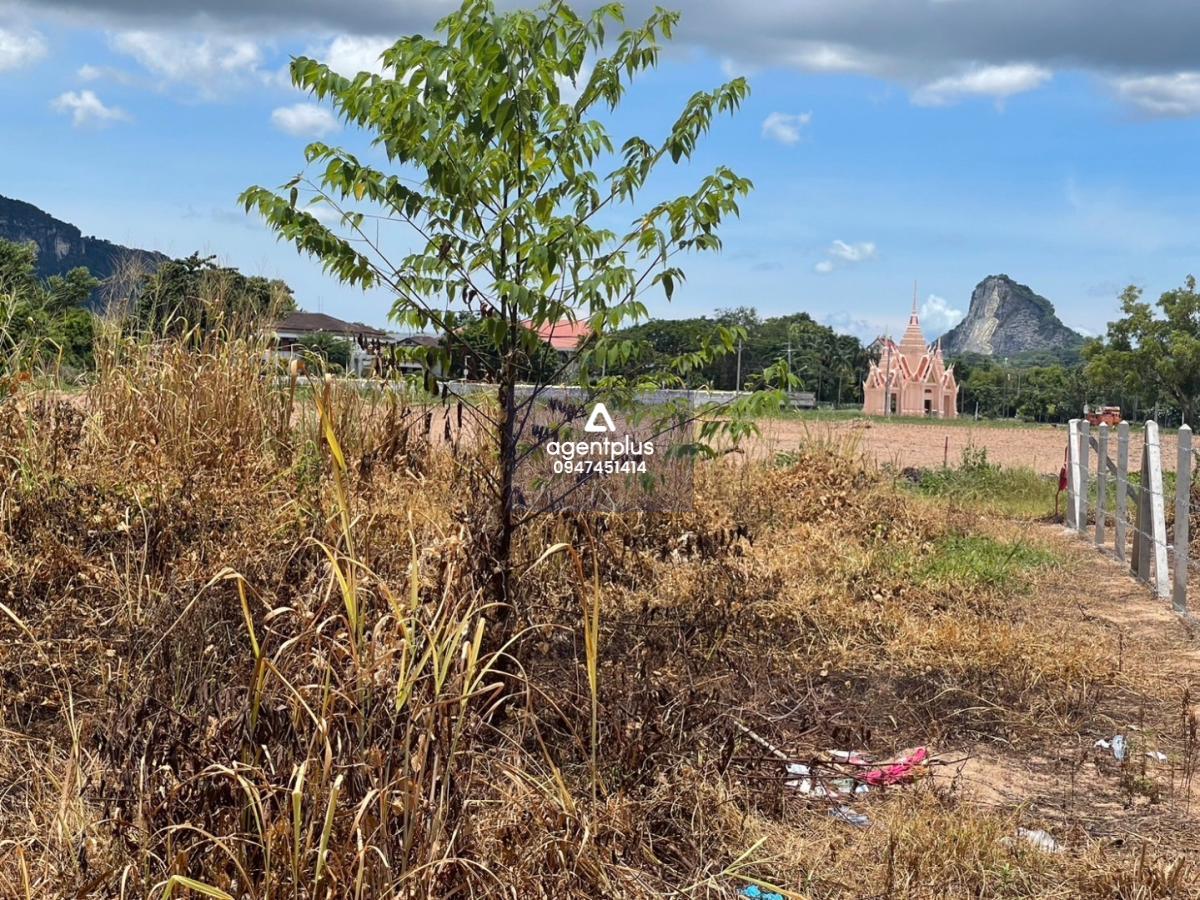 #ขายที่ดินติดถนน โซนเขาชีจรรย์ ห้วยใหญ่ เมืองพัทยา