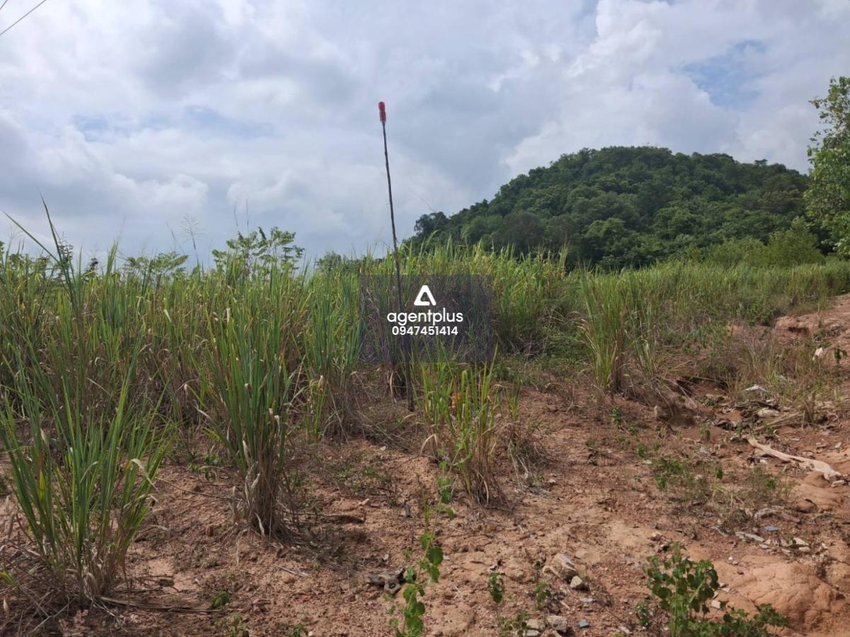 * ขายที่ดิน 47 ไร่ ทำเลแยกเจ ใกล้อู่ตะเภา – บางเสร่ – พัทยา