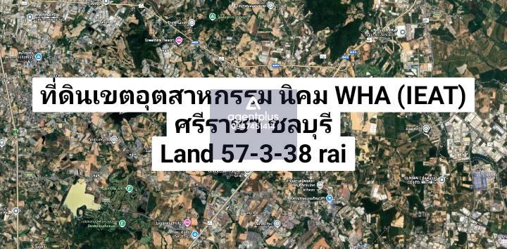 ขายที่ดินเขตนิคมอุตสาหกรรม นิคม WHA (IEAT) ขอใบอนุญาติได้ ศรีราชา ชลบุรี