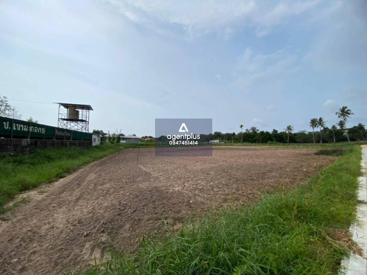 # ขายที่ดินใกล้แหล่งชุมชน เขามะกอก ห้วยใหญ่ พัทยา