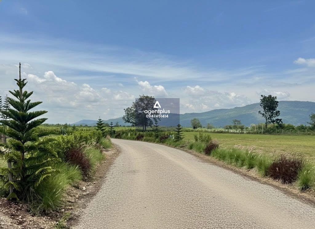 ขายบ้านพร้อมที่ดิน  MYESON VILLE บรรยากาศดี