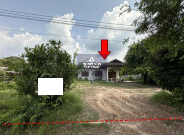 ขาย บ้านเดี่ยว พนัสนิคม-เกาะโพธิ์ ชลบุรี