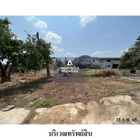 ขายโกดังใกล้ถนนรอบเมืองเชียงใหม่ 170 เมตร ผังสีเขียว สารภี เชียงใหม่