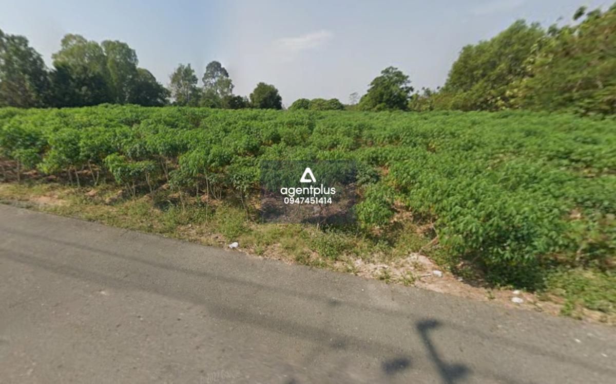 ขายที่ดิน 3ไร่ ทำเลนาจอมเทียน พัทยา แยกเป็นแปลงได้